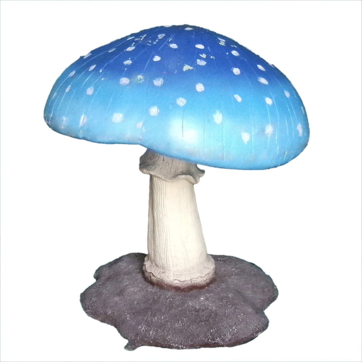 Bluebell Mushroom